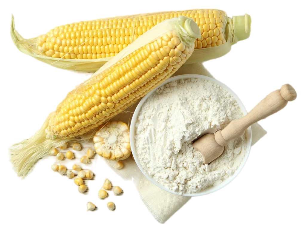 Industrial-Grade Maize Solutions