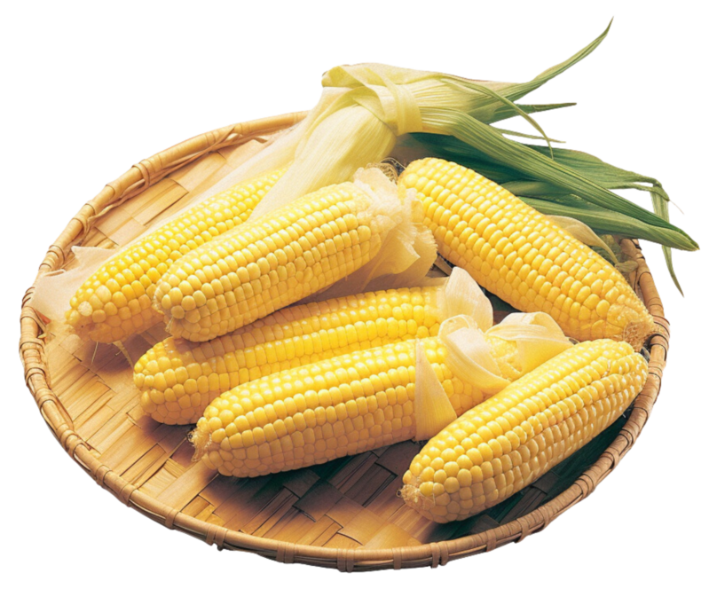 Premium Food-Grade Maize for Human Consumption