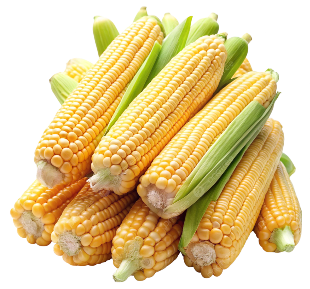 Specialty Maize Solutions