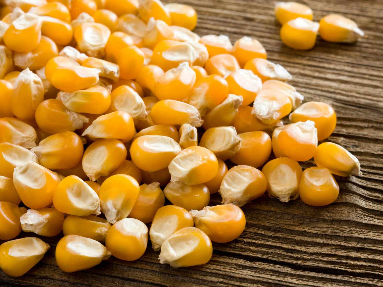 maize import vietnam
